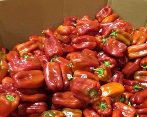 Peppers WL
