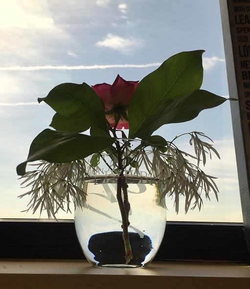 Flowers in Live Big Glass