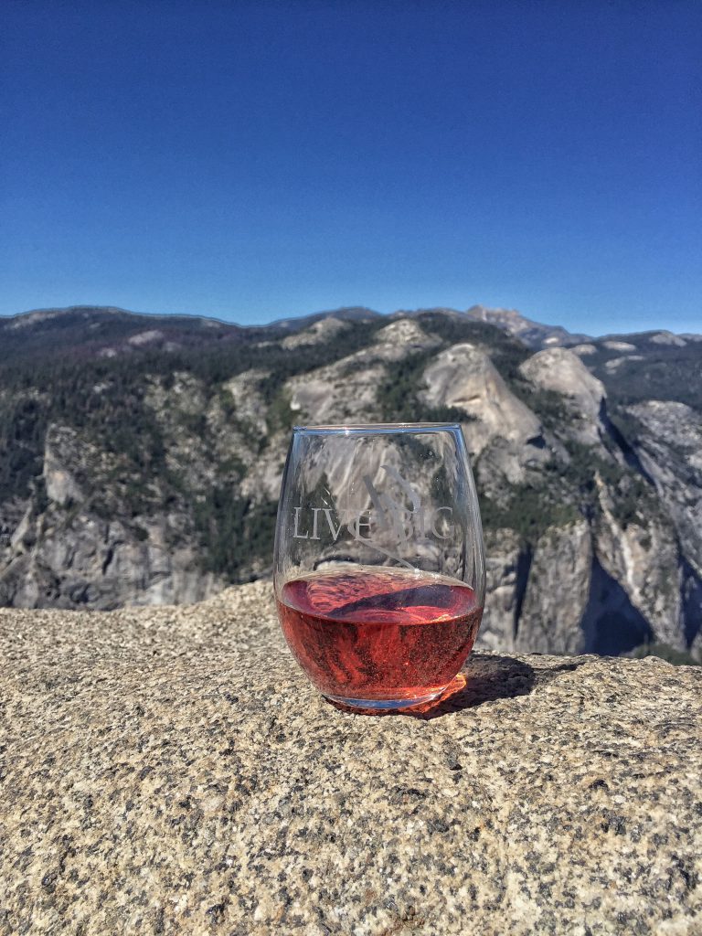 Submitted by Camille. Living Big at the top of Glacier Point in Yosemite!
