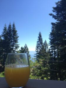 Submitted by Camille while in Tahoe, CA.