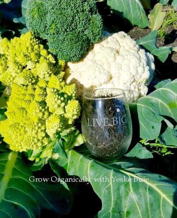 Grow Organically - Mark O